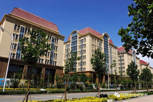 生態城商業配套升級加速，三大商業綜合體建設齊頭并進